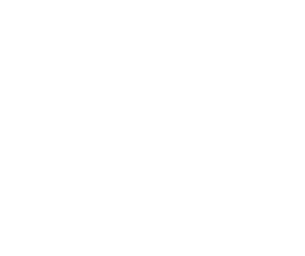 white paradox health logo