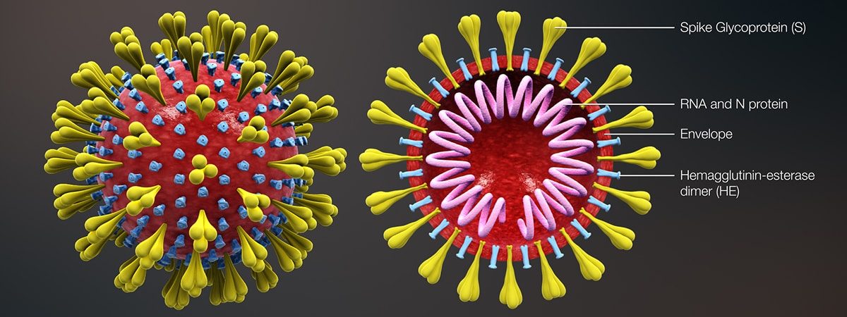 Coronavirus-picture.1200pxjpg